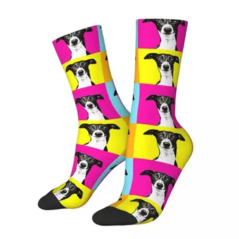 Веселые винтажные красочные мужские носки в стиле поп-арт Greyhound Crazy, уличный стиль, бесшовные носки с забавным принтом, подарок для мальчиков